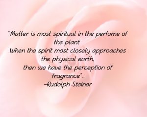 Scent